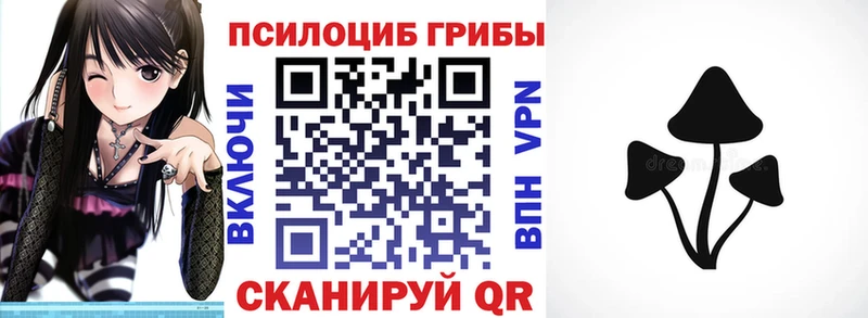 Купить  Семёнов  Галлюциногенные грибы прущие грибы 